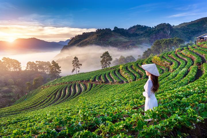 Sự Bùng Nổ Của Video Ngắn và Trí Tuệ Nhân Tạo: Vai Trò Thiết Yếu Của Đào Tạo Kỹ Năng Sáng Tạo Nội Dung_Short video IP account